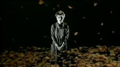 This Mortal Coil - Song to the Siren