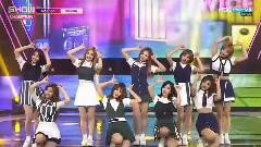 TWICE - SIGNAL- Show Champion现场版 17/05/31