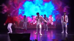 SWIN组合,SWIN-S - 只因你太美