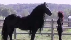 音乐短片 - Dünyan n En Yak kl At