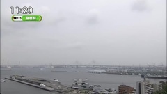 AKB48,柏木由纪,NGT48 - 柏木由紀 ひるおび天気
