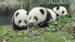 音乐短片 - 全新的祝福