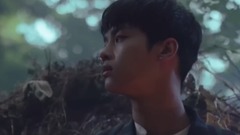 VIXX - Fantasy