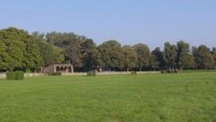 音乐短片 - 2016维也纳新年音乐会芭蕾舞:“激动万分快速波尔卡”