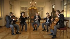 音乐短片 - 精彩纷呈,不容错过:2016维也纳新年音乐会中场音乐短片