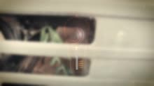 O Milagre (Videoclipe)