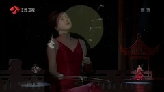 华语群星 - 二泉映月
