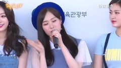 SONAMOO - 2017梦想演唱会红毯