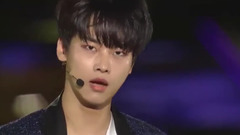 VIXX - Fantasy - 2017 Dream Concert现场版 17/06/03