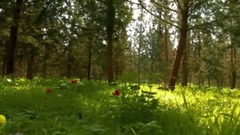 音乐短片 - Imagine Light (Original Mix) by Yeiskomp Records