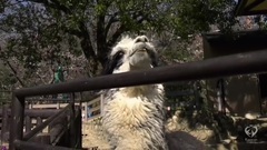 AKB48,NMB48 - ぽくぽく百景もぐもぐ旅 EP23