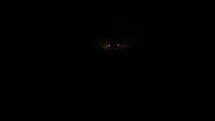 欧美群星 - Juliette