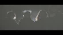 side effects - Riverbank