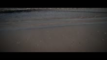 Alida - Some of Us