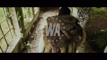 Bison (Clip officiel) (Official Music Video)