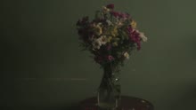 Leonel García - Una Vida (Video)