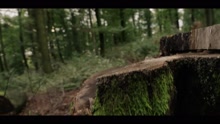 FRAUI - Flügel (Videoclip)