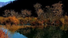 音乐短片 - 我的九寨