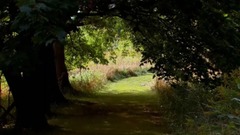 音乐短片 - 巴赫:萨拉邦舞曲