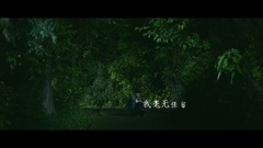 张碧晨 - 曾经守候(影视版)