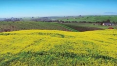 音乐短片 - “充满诗意的旋律美”- 巴赫“G弦上的咏叹调”