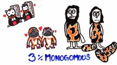 音乐短片 - The Science of Cheating