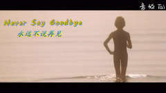 Hayley Westenra - Never Say Goodbye
