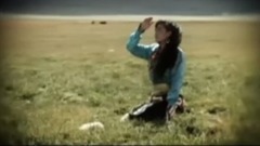 华语群星,民乐群星 - 藏家女孩