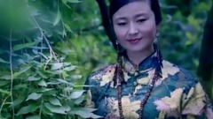 华语群星,民乐群星 - 瓜尔东赞