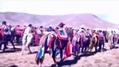 华语群星,民乐群星 - 我和草原有个约定