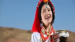 华语群星,民乐群星 - 美酒