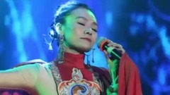 华语群星,民乐群星 - 喜马拉雅