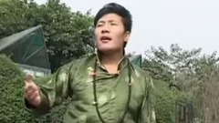 华语群星,民乐群星 - 吉祥相聚