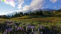 音乐短片 - 故乡的路