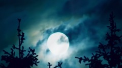 音乐短片 - 沉思曲