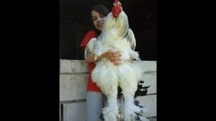 音乐短片 - World's Biggest Animal 2016 2017