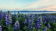 音乐短片 - Bressanone布列瑟农