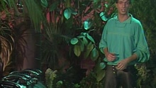 Boney M. - Young, Free And Single (Formel Eins 07.10.1985)