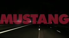 Mustang - Ecran total (Official Music Video)