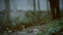 Gloc 9 - Martilyo