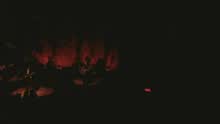 Djavan - Se... (Live Video)