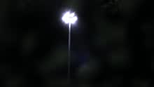 Jungla (Videoclip)