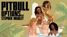 Pitbull - Options (DJ Noodles Remix (Audio))