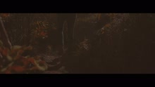 Samuel Mizrahy - Tua Paz (Videoclipe)