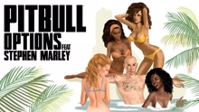 Pitbull - Options (Audio)
