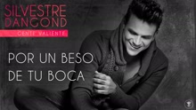Silvestre Dangond - Por un Beso de Tu Boca (Audio)