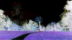 Donkeyboy - City Boy