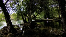 Circle of Life (Videoclip)