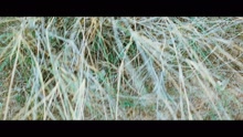Yuvanshankar Raja,Psycho.unit,Gana Bala - Run for Your Life (From 