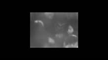 La valle dei re (Videoclip)